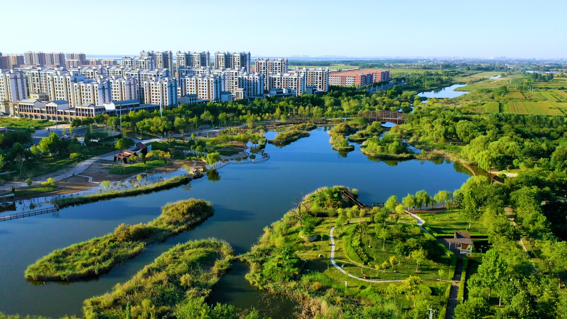 衡水任务完成攻略,初学者必看详细步骤解析