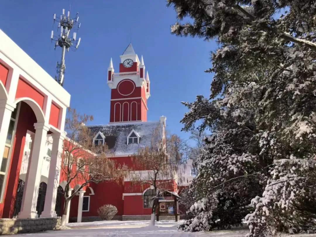 沈阳，古都风华与现代魅力的完美交汇地