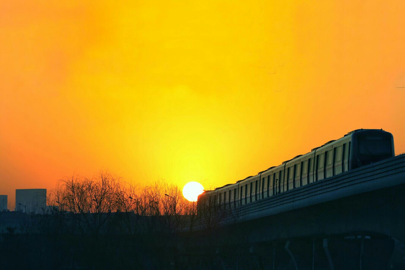 朝阳，唤醒激情，开启全新篇章的无限可能