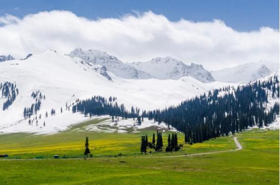 梦幻呼伦贝尔草原之旅，邀你共赴自然盛宴🌿🏞️
